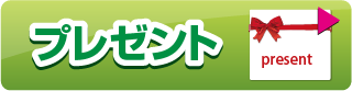 屋内用　プレゼント