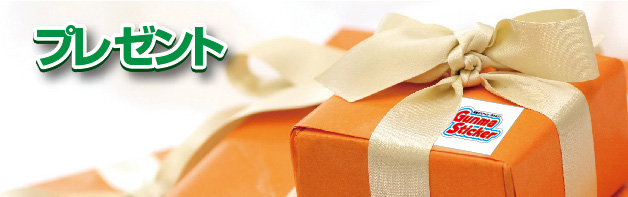 プレゼント用