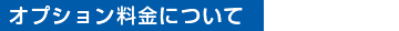 オプション料金について